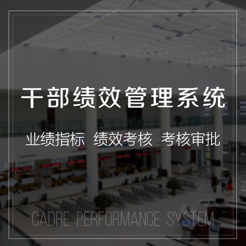 景德镇政府网站定制的安全合规性挑战与应对