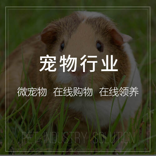 景德镇售后系统制作如何实现工单自动化分配